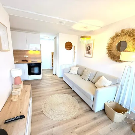 Confort 4-6 Pers Agde,animaux Ok, Richelieu A 150m, Piscine, Parking, Aqualand - Agde